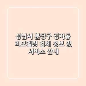 성남시 분당구 정자동 리모델링 업체 정보 및 서비스 안내