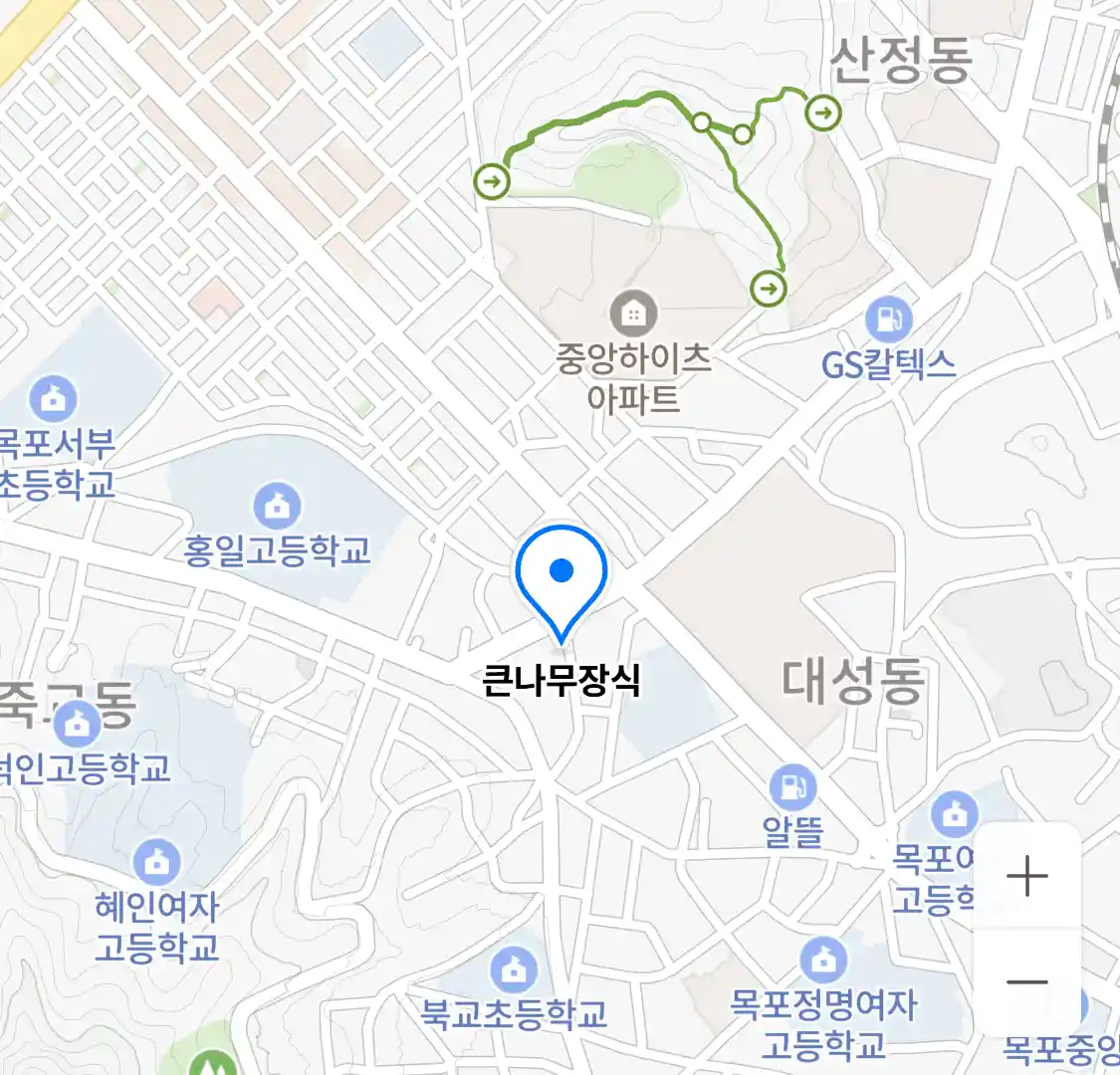 큰나무장식 위치