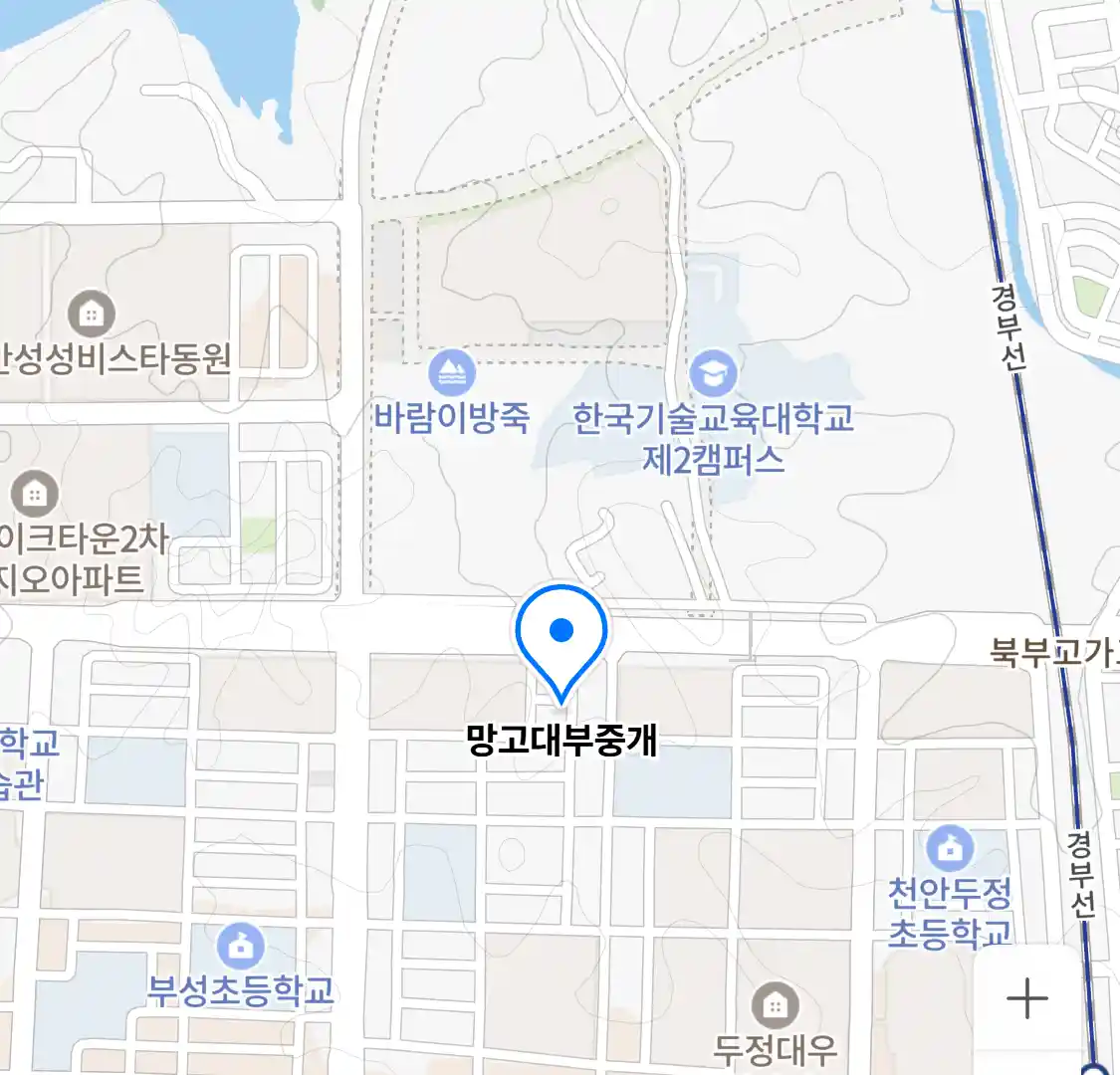 망고대부중개 위치