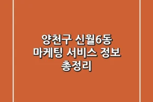 양천구 신월6동 마케팅 서비스 정보 총정리