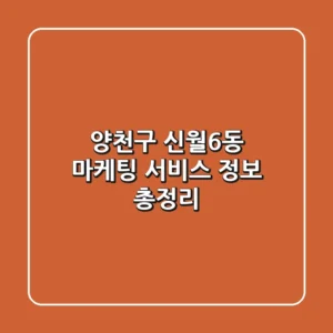 양천구 신월6동 마케팅 서비스 정보 총정리