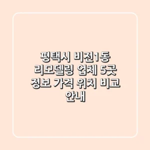 평택시 비전1동 리모델링 업체 5곳: 정보, 가격, 위치 비교 안내