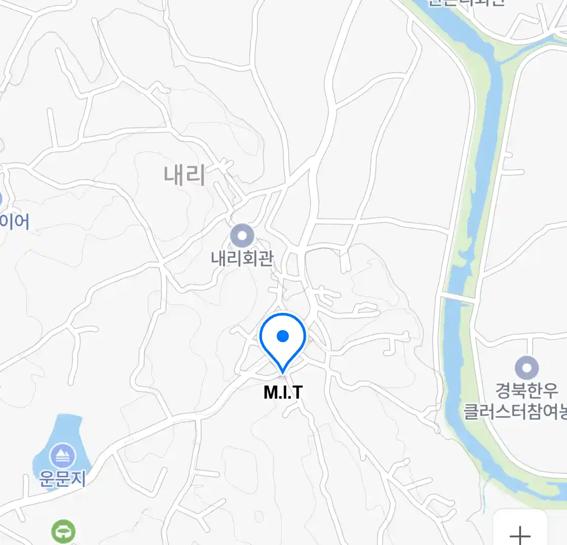 M.I.T 위치
