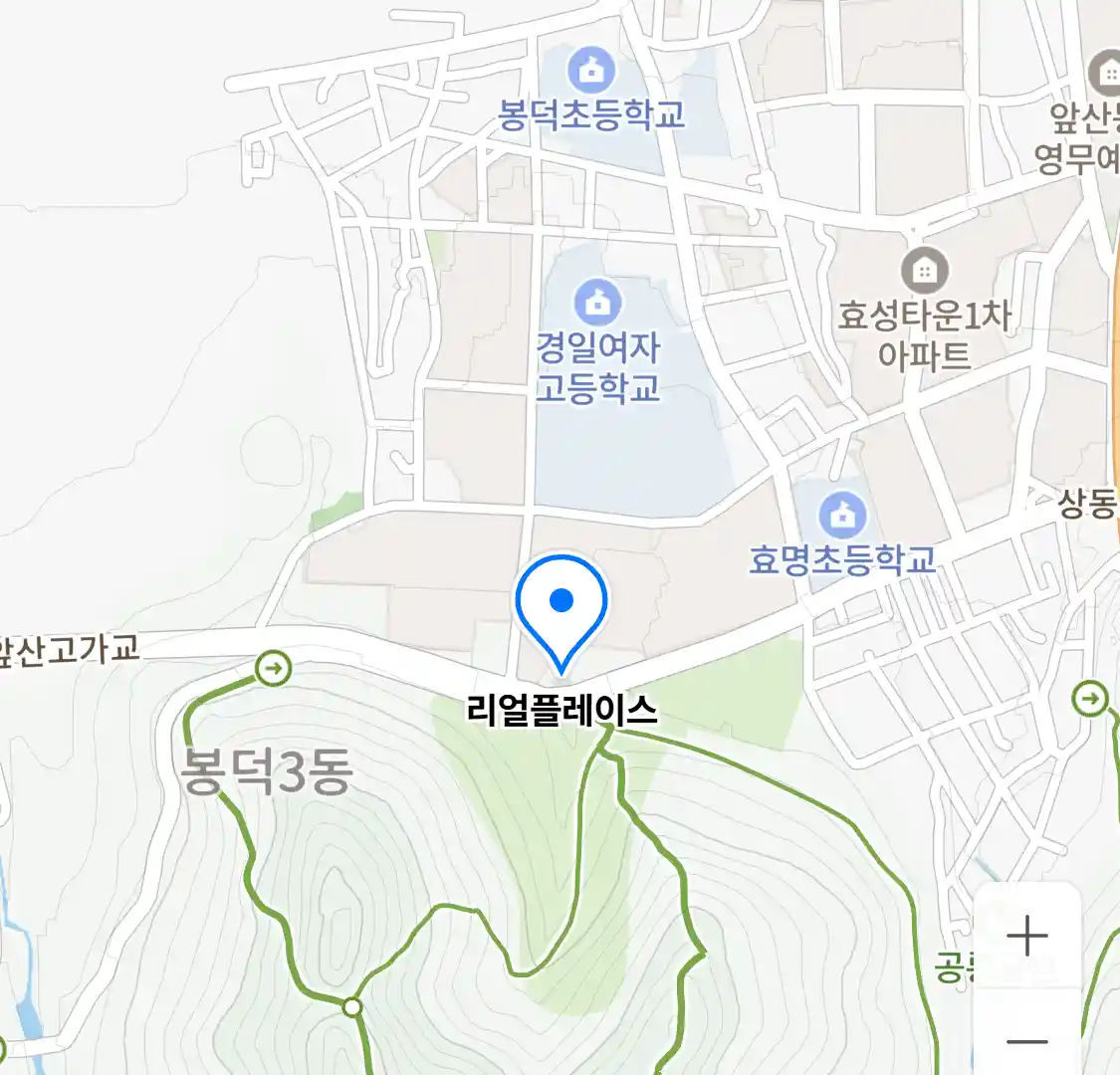 리얼플레이스 위치