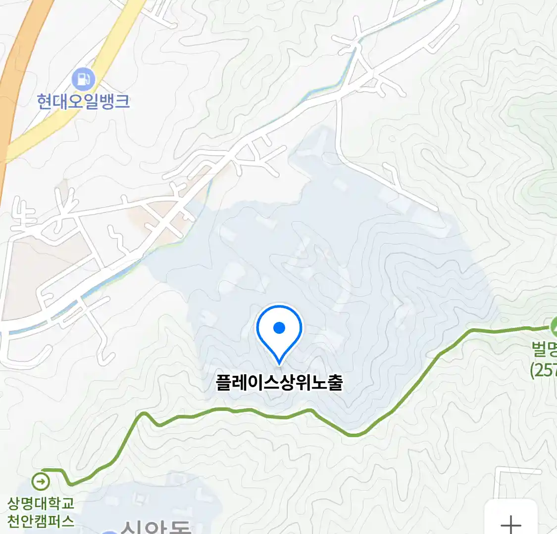 플레이스상위노출 위치