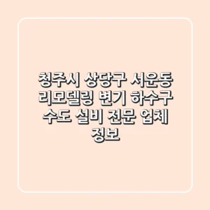 청주시 상당구 서운동 리모델링: 변기, 하수구, 수도 설비 전문 업체 정보