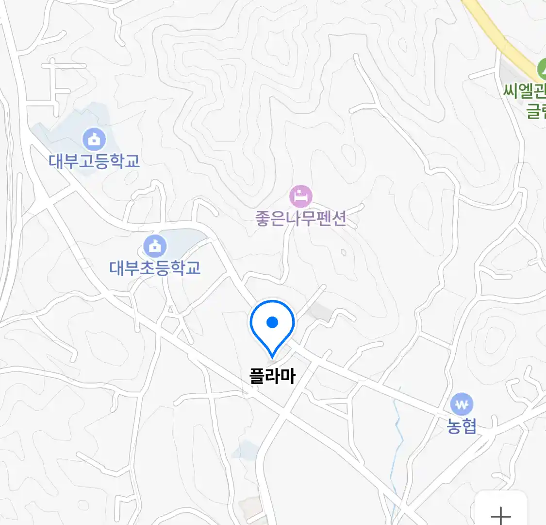 플라마 위치