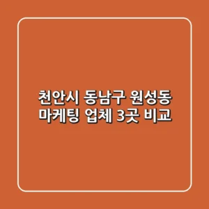 천안시 동남구 원성동 마케팅 업체 3곳 비교