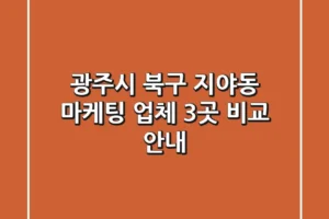 광주시 북구 지야동 마케팅 업체 3곳 비교 안내