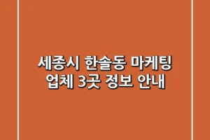 세종시 한솔동 마케팅 업체 3곳 정보 안내