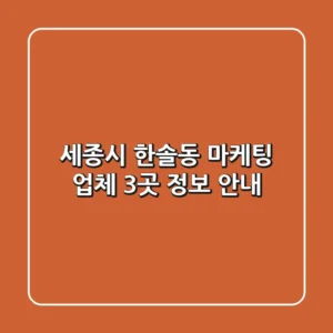 세종시 한솔동 마케팅 업체 3곳 정보 안내