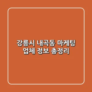 강릉시 내곡동 마케팅 업체 정보 총정리
