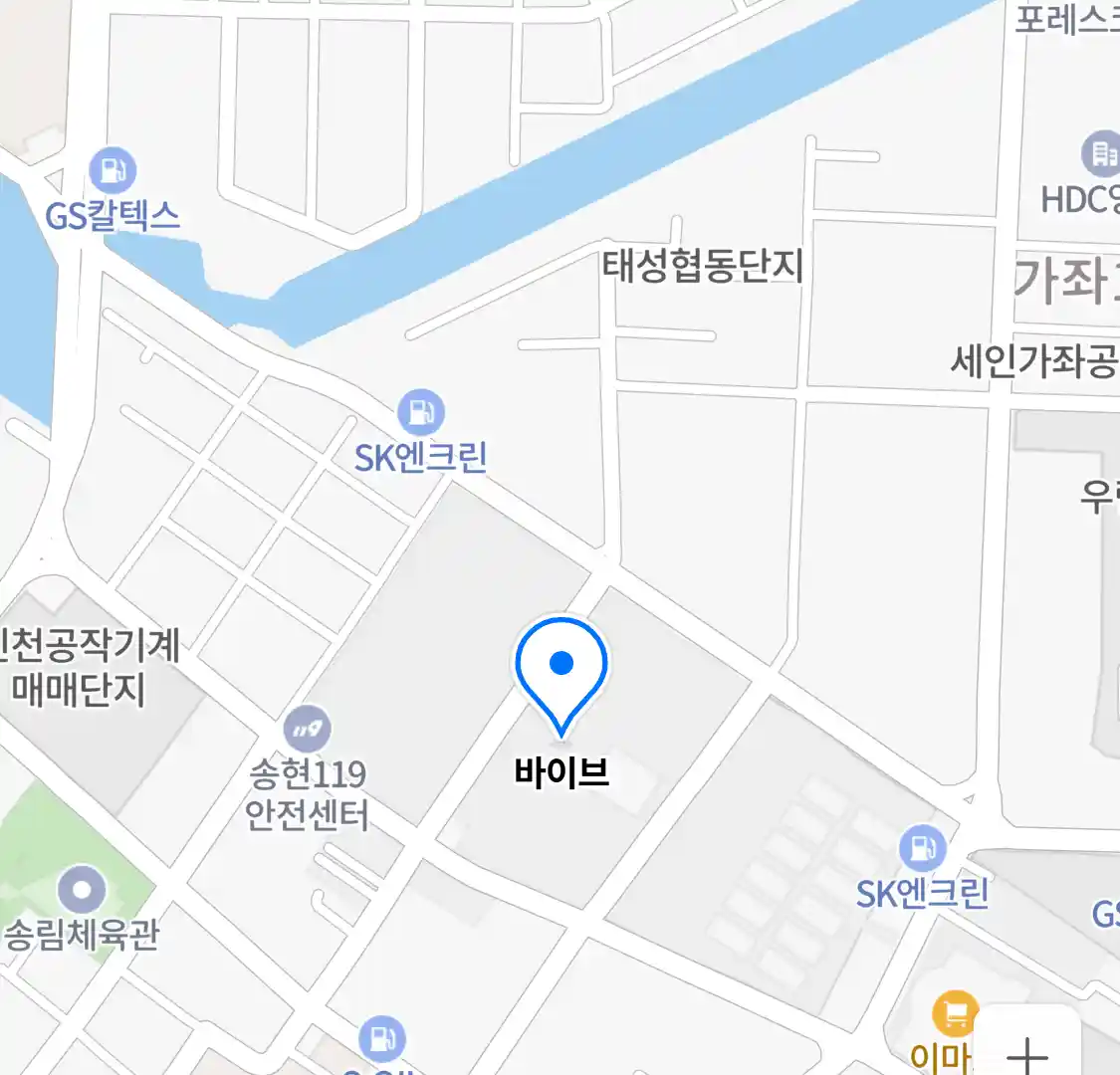 바이브 위치